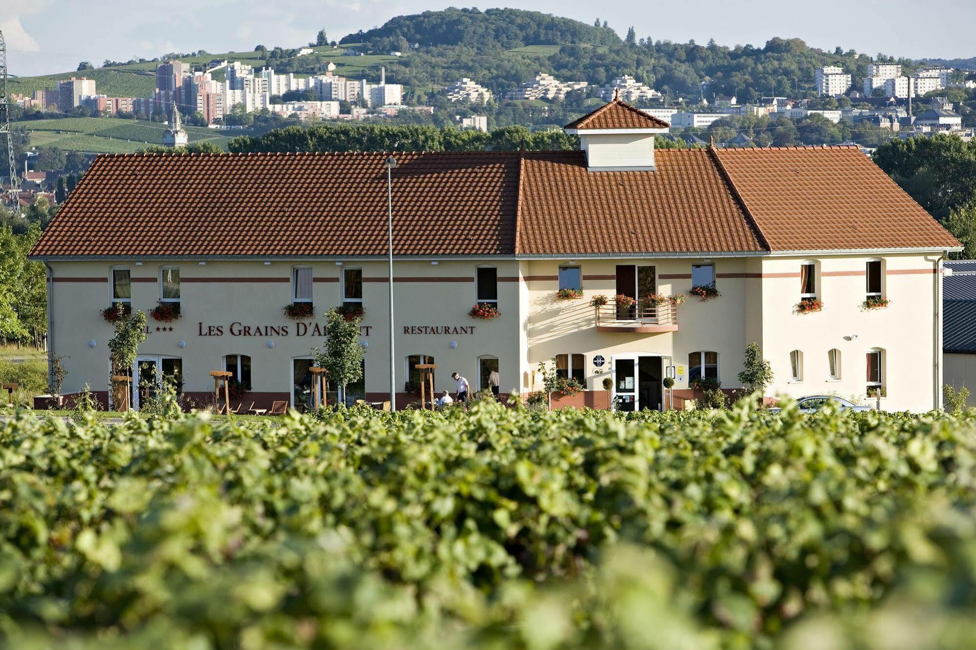 Les Grains D'Argent Dizy - Epernay Hotel Luaran gambar